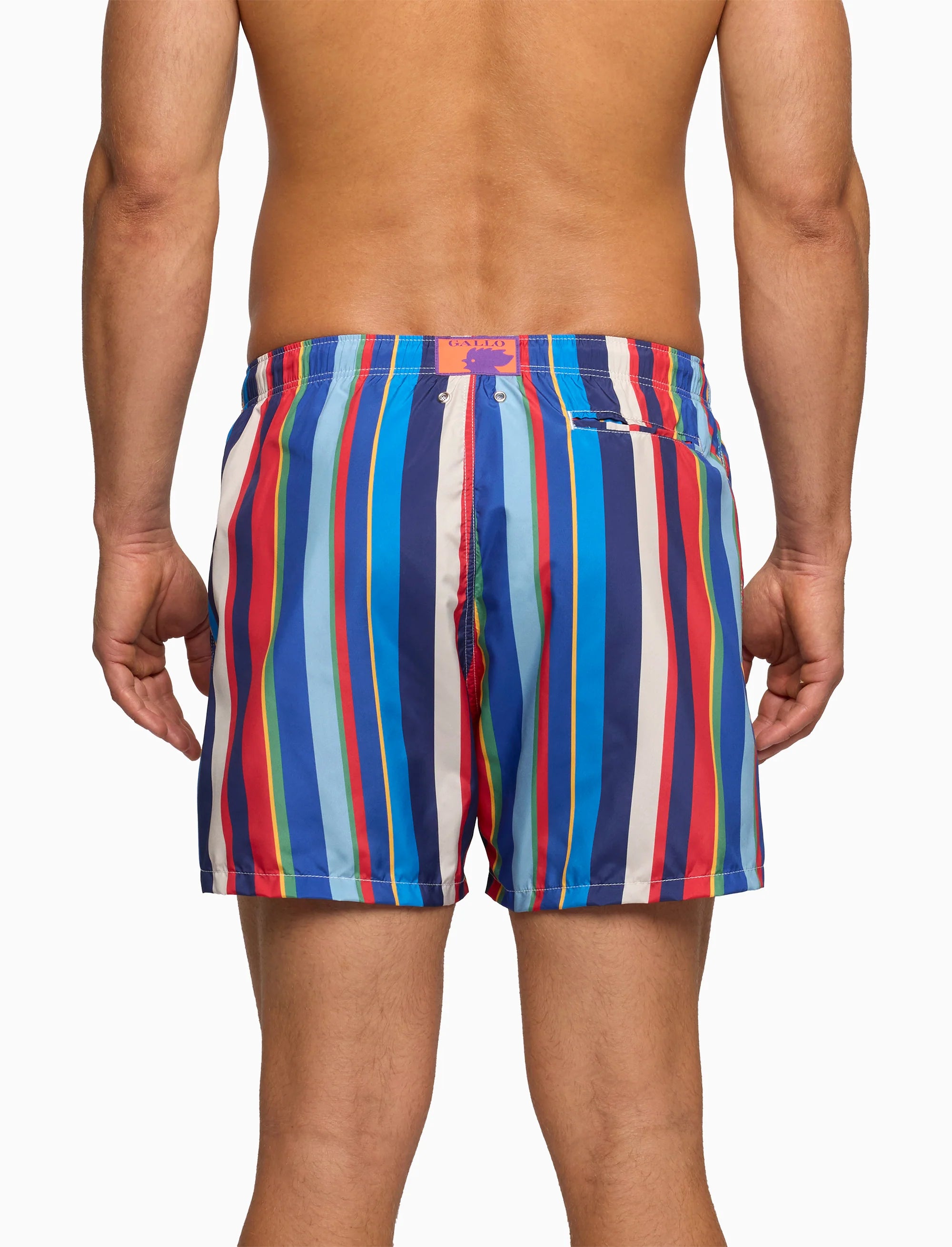 Boxer mare Gallo a righe