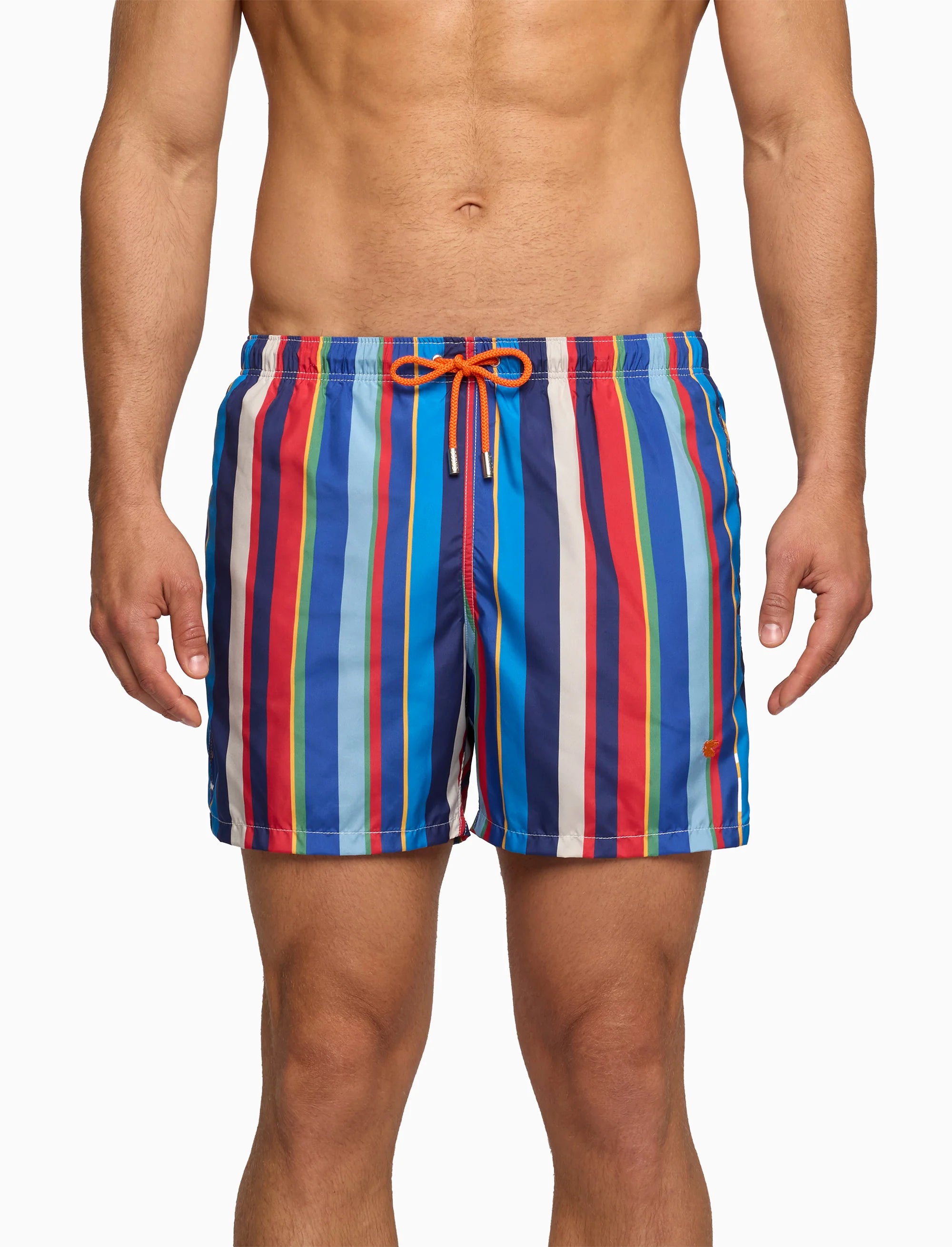 Boxer mare Gallo a righe