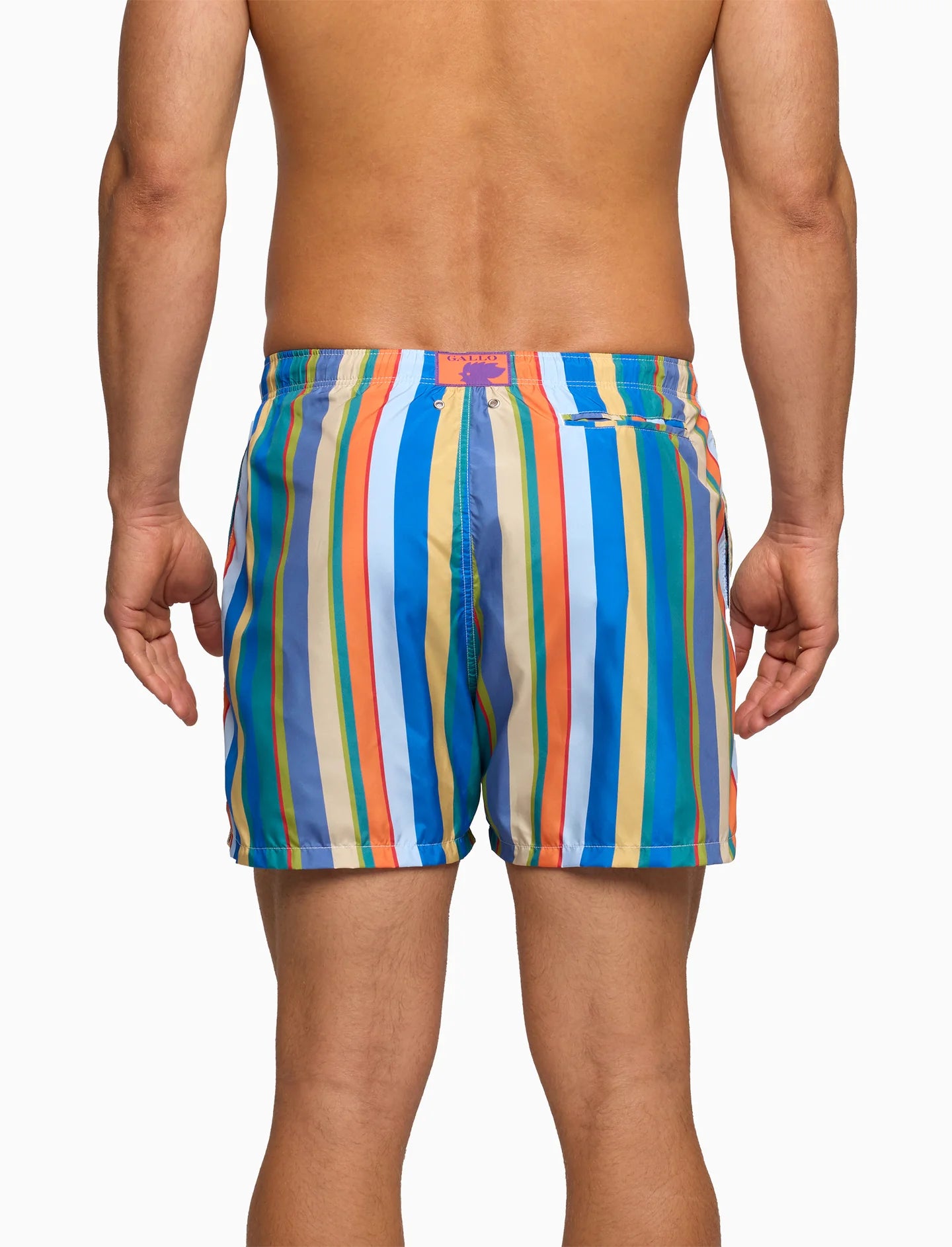 Boxer mare Gallo multicolore