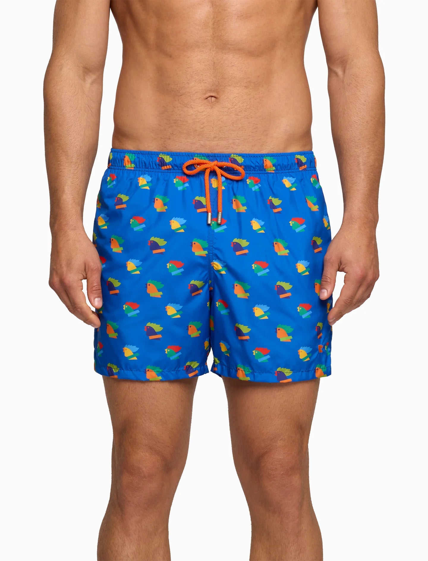 Boxer mare Gallo fantasia galli